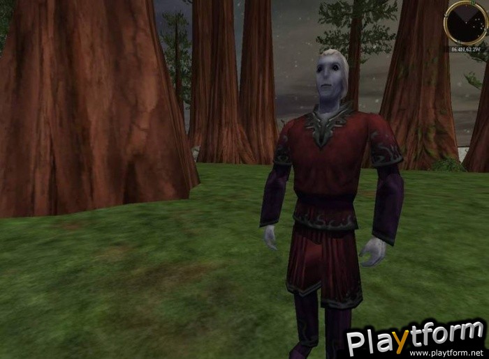 Asheron's Call: Throne of Destiny (PC)