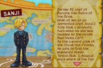 One Piece: Grand Battle (PlayStation 2)