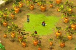 Dofus (PC)