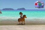 Harvest Moon: Another Wonderful Life (GameCube)