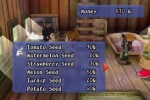 Harvest Moon: Another Wonderful Life (GameCube)