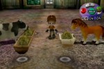 Harvest Moon: Another Wonderful Life (GameCube)