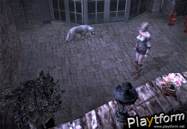 Haunting Ground (PlayStation 2)