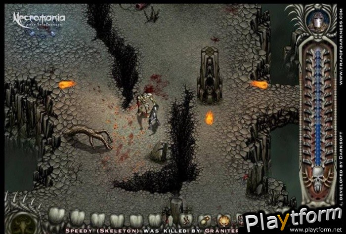 Necromania: Traps of Darkness (PC)