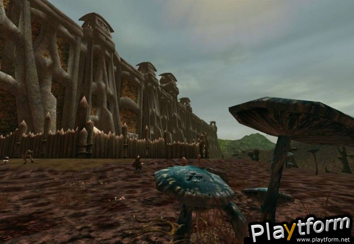 Asheron's Call 2: Legions (PC)