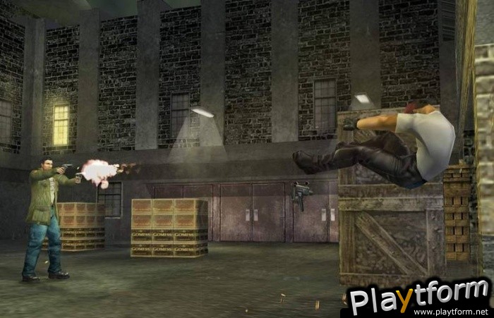 Dead to Rights II (PlayStation 2)