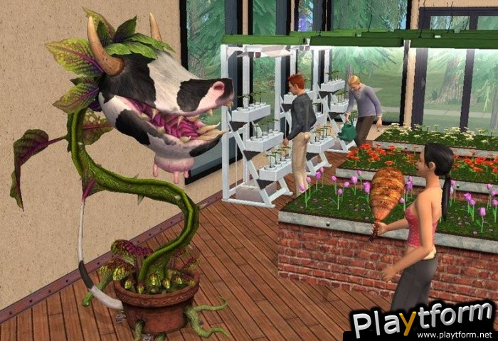 The Sims 2 University (PC)