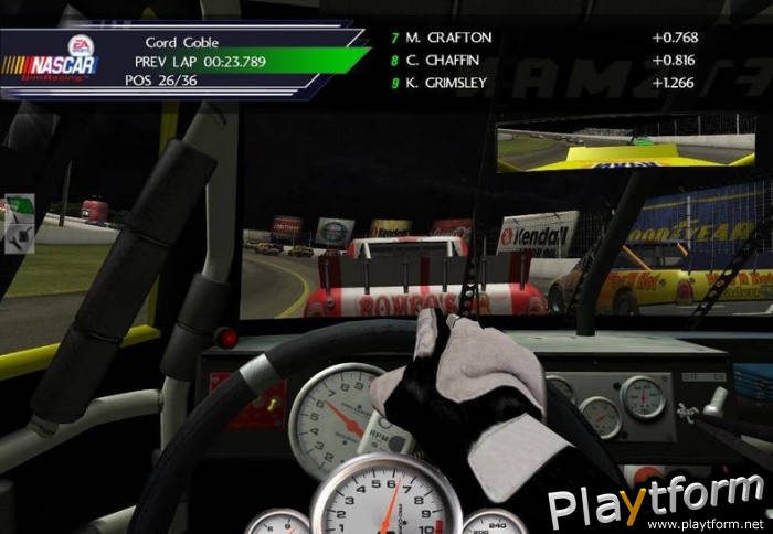 NASCAR SimRacing (PC)