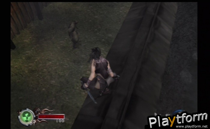 Tenchu: Fatal Shadows (PlayStation 2)