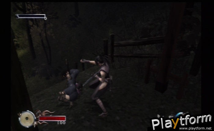 Tenchu: Fatal Shadows (PlayStation 2)