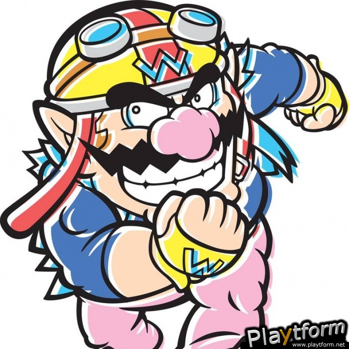 WarioWare: Touched! (DS)