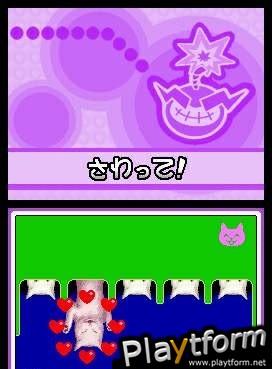 WarioWare: Touched! (DS)