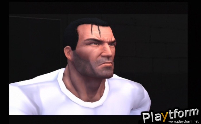 The Punisher (2005) (PlayStation 2)