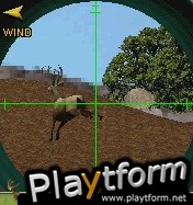 3D Hunting Trophy Whitetail 2005 (Mobile)