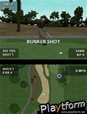 Tiger Woods PGA Tour (DS)