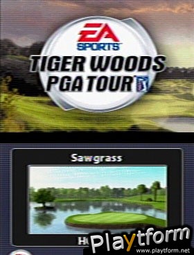 Tiger Woods PGA Tour (DS)