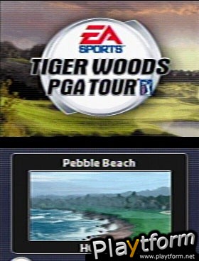 Tiger Woods PGA Tour (DS)