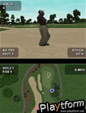 Tiger Woods PGA Tour (DS)