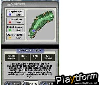 Tiger Woods PGA Tour (DS)