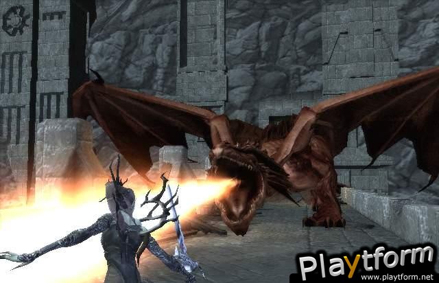 Forgotten Realms: Demon Stone (PC)