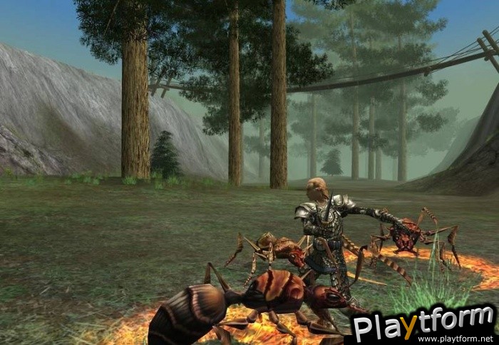 Dark Age of Camelot: Catacombs (PC)