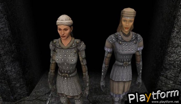 Dark Age of Camelot: Catacombs (PC)