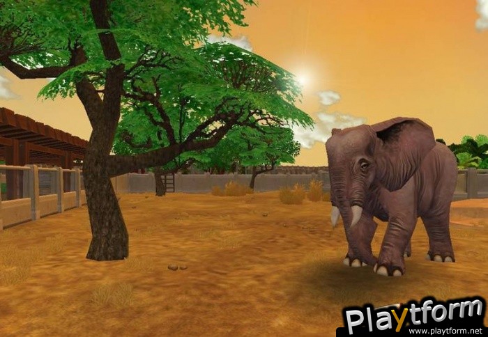 Zoo Tycoon 2 (PC)