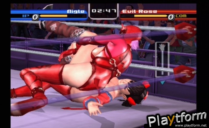 Rumble Roses (PlayStation 2)