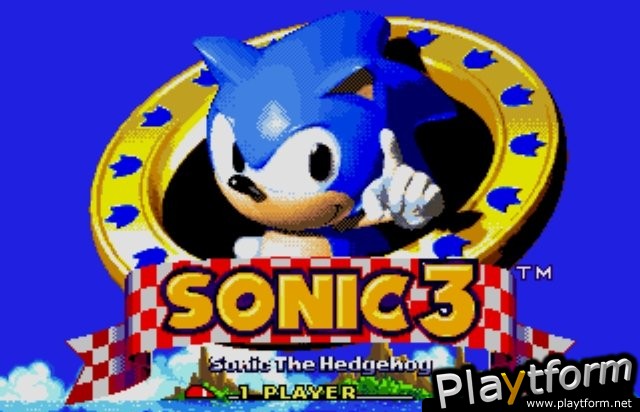 Sonic Mega Collection Plus (PlayStation 2)