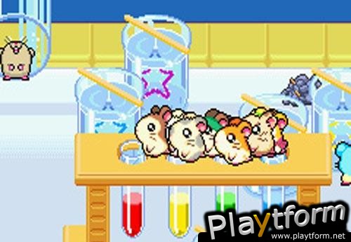 Hamtaro: Rainbow Rescue (Game Boy Advance)