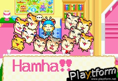 Hamtaro: Rainbow Rescue (Game Boy Advance)