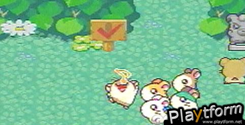 Hamtaro: Rainbow Rescue (Game Boy Advance)