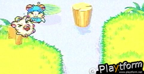 Hamtaro: Rainbow Rescue (Game Boy Advance)