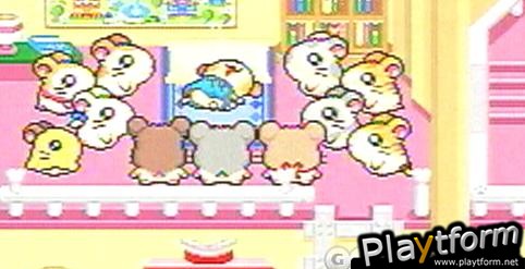 Hamtaro: Rainbow Rescue (Game Boy Advance)