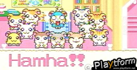 Hamtaro: Rainbow Rescue (Game Boy Advance)