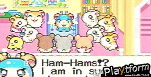 Hamtaro: Rainbow Rescue (Game Boy Advance)