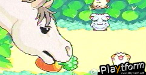 Hamtaro: Rainbow Rescue (Game Boy Advance)