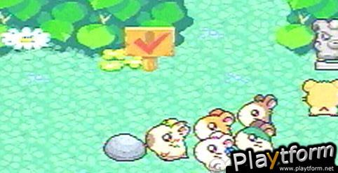 Hamtaro: Rainbow Rescue (Game Boy Advance)