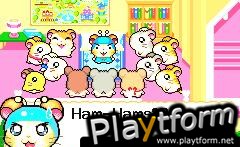 Hamtaro: Rainbow Rescue (Game Boy Advance)