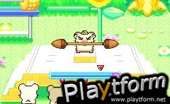 Hamtaro: Rainbow Rescue (Game Boy Advance)