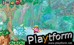 Kirby & the Amazing Mirror (Game Boy Advance)