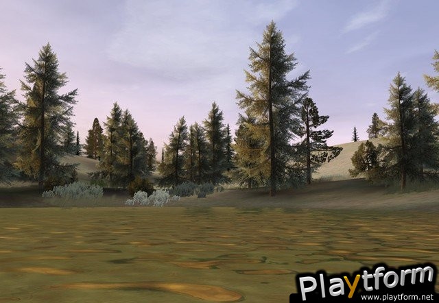 Deer Hunter 2005 (PC)