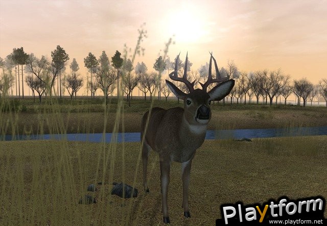 Deer Hunter 2005 (PC)