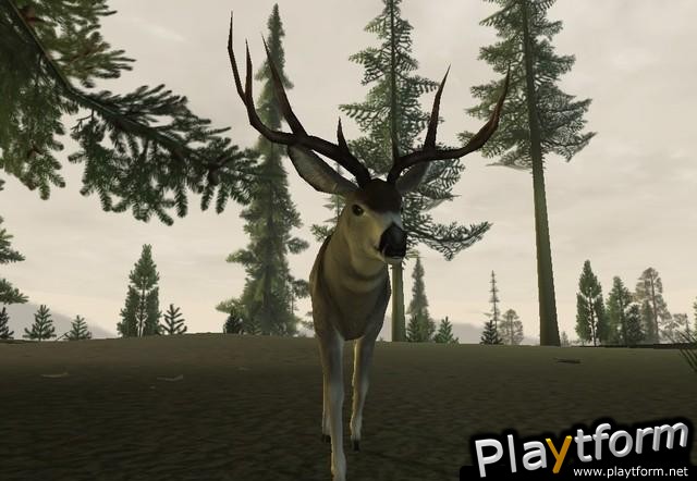 Deer Hunter 2005 (PC)