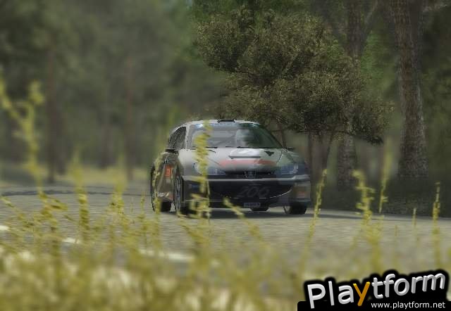 Colin McRae Rally 2005 (Xbox)