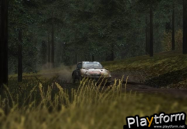 Colin McRae Rally 2005 (Xbox)