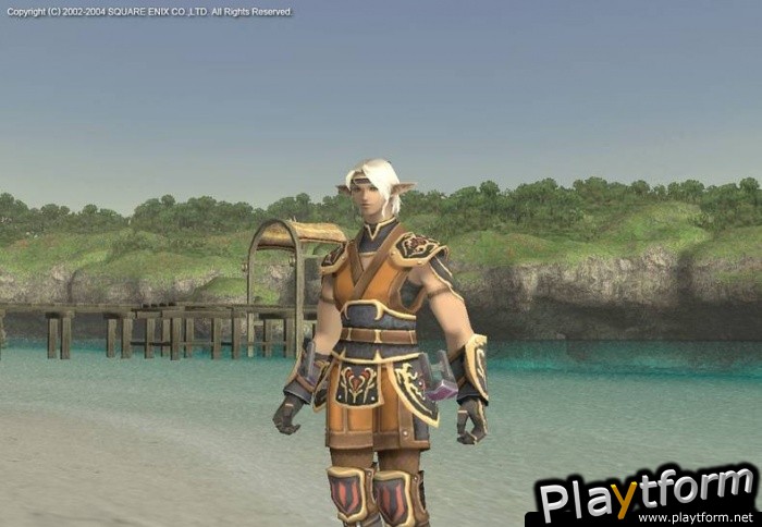 Final Fantasy XI Chains of Promathia (PC)