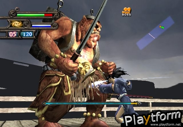 Blood Will Tell (PlayStation 2)