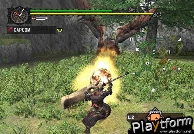 Monster Hunter (PlayStation 2)