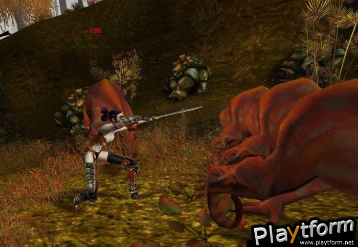 The Saga of Ryzom (PC)